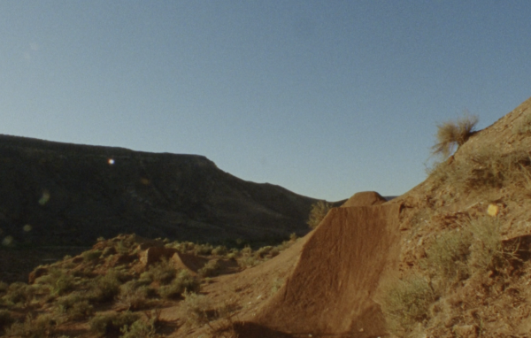 Desert Bugs